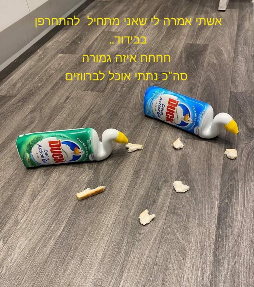 מזל טוב לאריה כגן by Amitai Rodas - Illustrated by מועצת תלמידים תיכון, בי"ס שש-שנתי נחשון - Ourboox.com