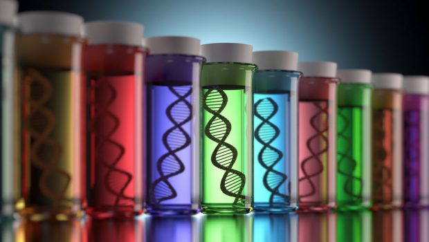 GENETİK ÇEŞİTLİLİK GÖREVLİSİ by dilek sözbir - Ourboox.com