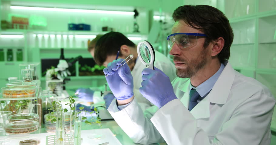 GENETİK ÇEŞİTLİLİK GÖREVLİSİ by dilek sözbir - Ourboox.com