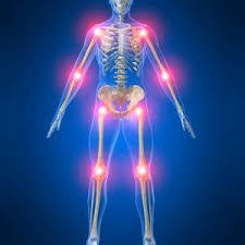 ثقافة عامة جهاز الحركة عند الانسان by seham - Ourboox.com