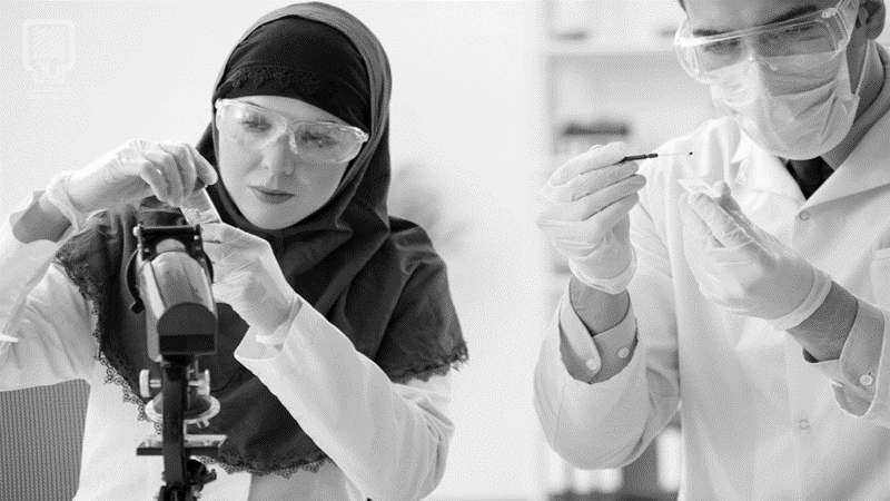 מחלקת הכשרת חברת אלפנאר by וסילה חלבי - Ourboox.com