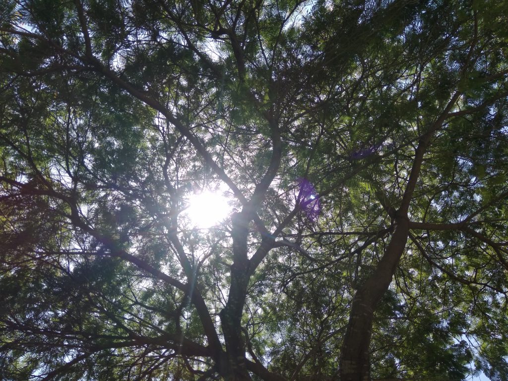 מדמיון למציאות “המדריך “ by Galya Sidelsky - Ourboox.com