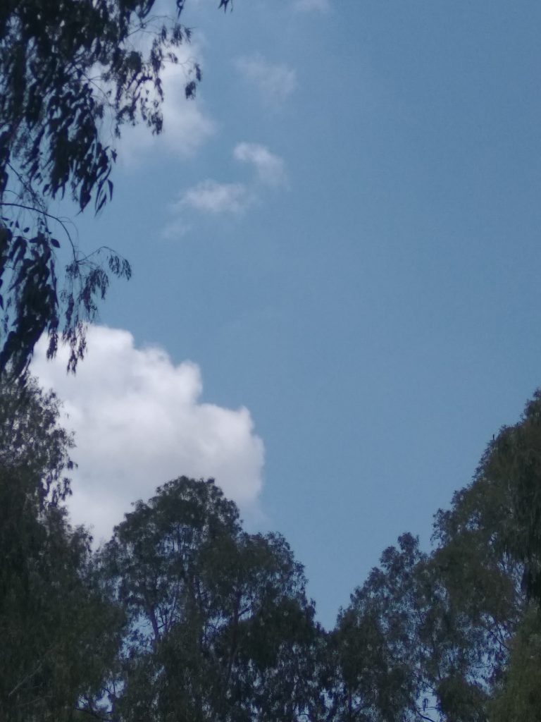 מדמיון למציאות “המדריך “ by Galya Sidelsky - Ourboox.com