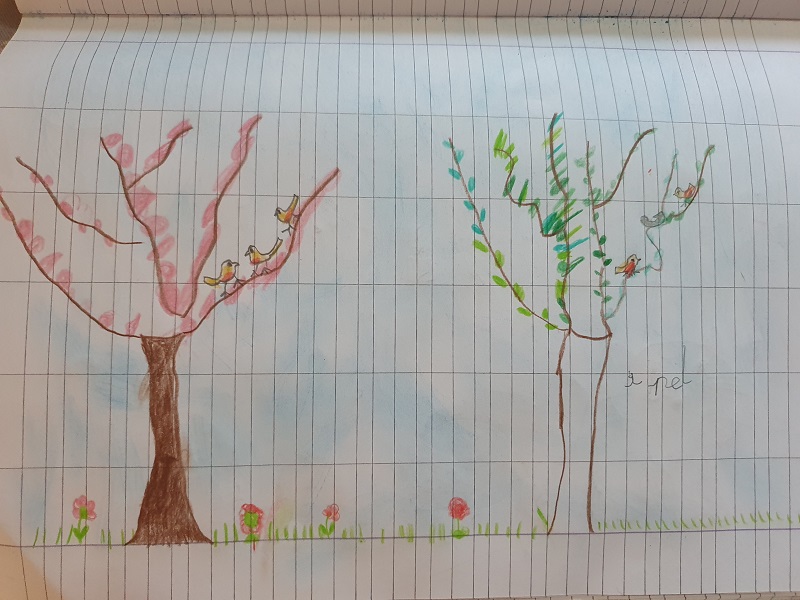 Primavera. by Valeria Govoni - Ourboox.com