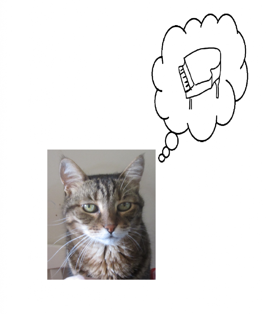 הֶחָתוּל וְהַפְּסַנְתֵּר by noa - Ourboox.com