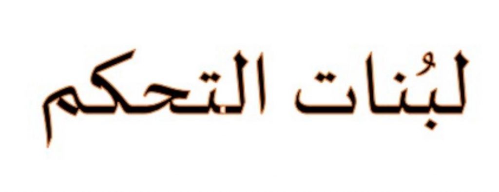 علم الحاسوب والبرمجة في بيئة سكراتش by anwarzoabi - Ourboox.com