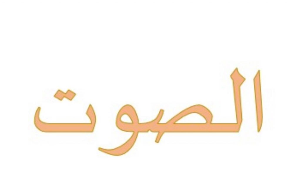 علم الحاسوب والبرمجة في بيئة سكراتش by anwarzoabi - Ourboox.com