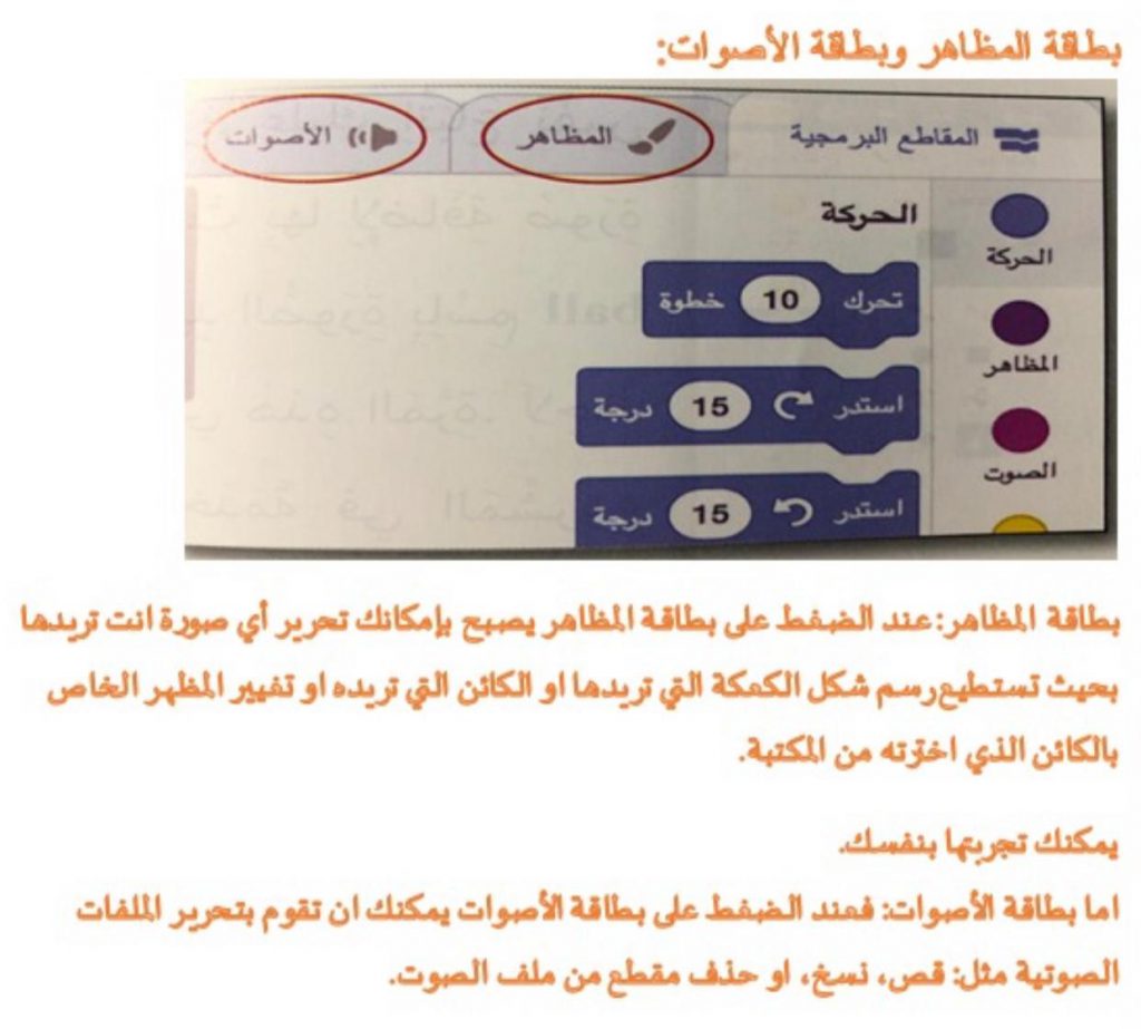 علم الحاسوب والبرمجة في بيئة سكراتش by anwarzoabi - Ourboox.com