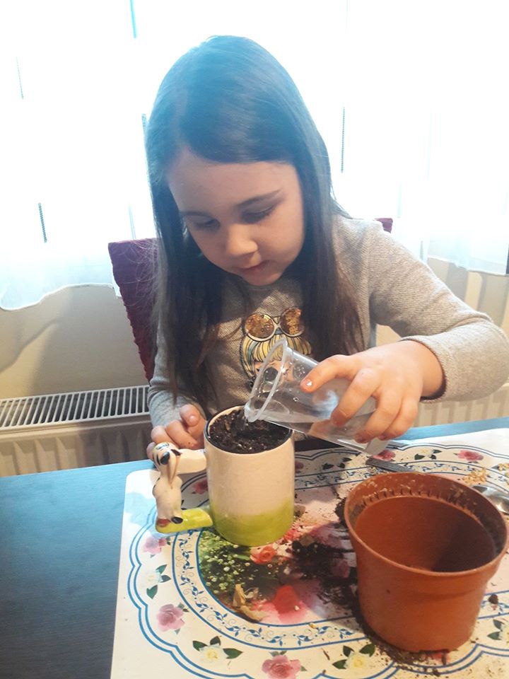 ПГ5г ЗВЕЗДНИ МЕЧЕТА by Митка Тодорова - Ourboox.com