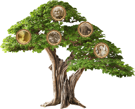 Learning C# is fun by salam - Illustrated by سلام أبو صالح - Ourboox.com