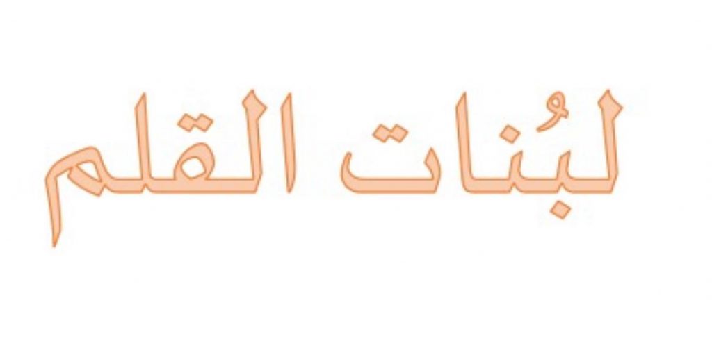 علم الحاسوب والبرمجة في بيئة سكراتش by anwarzoabi - Ourboox.com