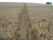 Причини зниження родючості грунтів by Anna Hurska - Ourboox.com