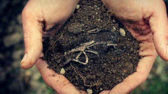 Причини зниження родючості грунтів by Anna Hurska - Ourboox.com