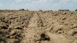 Причини зниження родючості грунтів by Anna Hurska - Ourboox.com