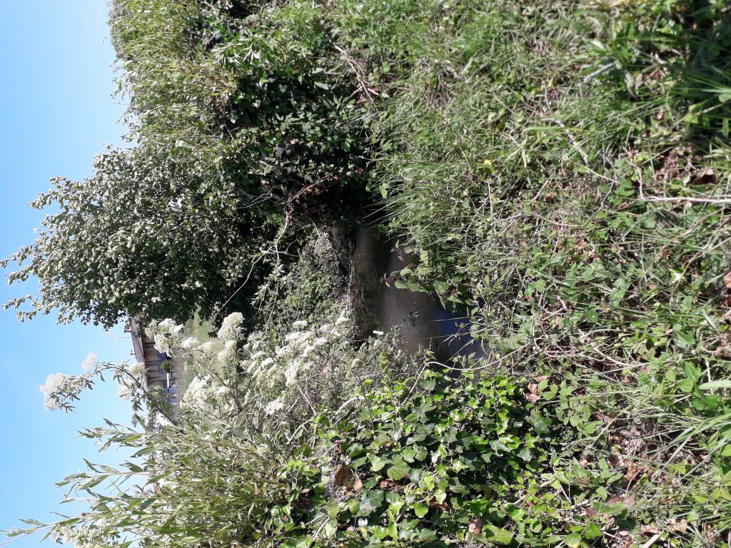 La mia vita in quarantena by Clara - Ourboox.com