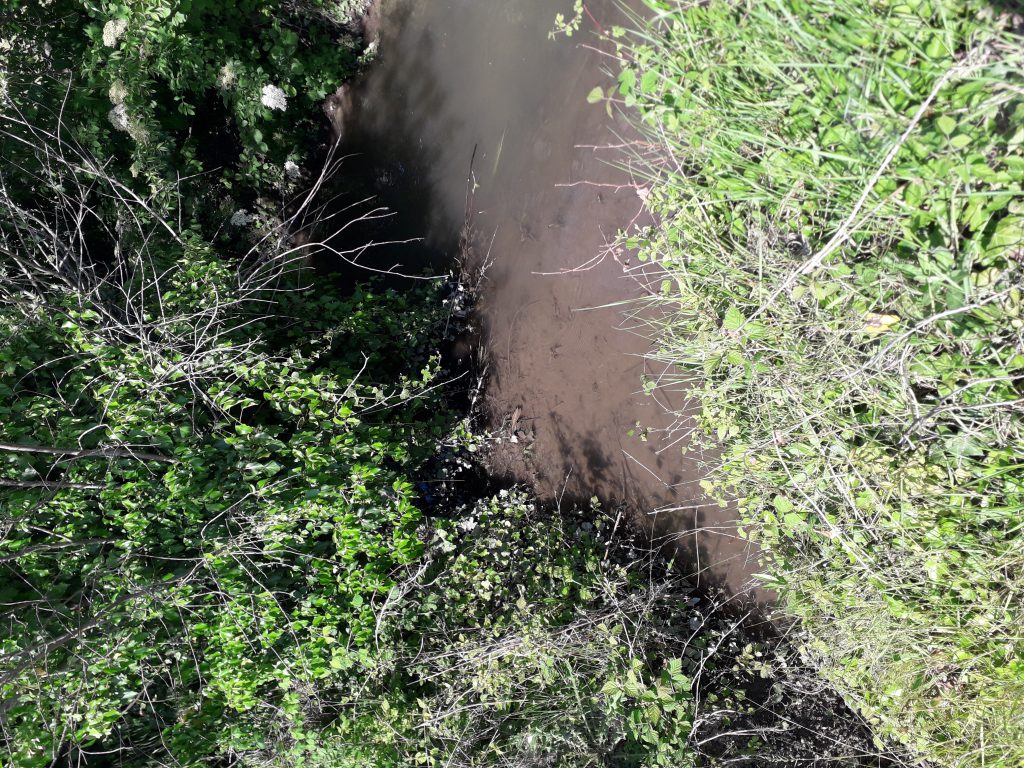 La mia vita in quarantena by Clara - Ourboox.com