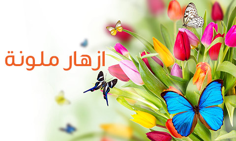 الْأَزْهارُ الْمُلَوَّنَةُ by samia jabareen - Illustrated by المعلمة سامية جبارين - Ourboox.com