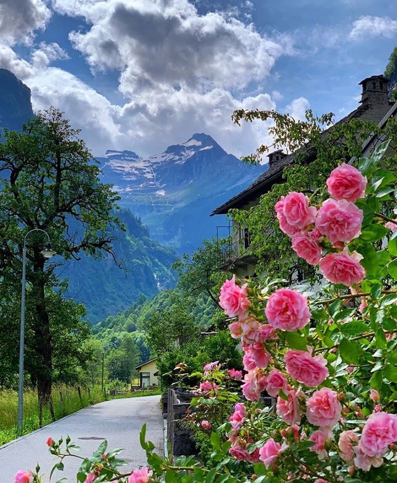 يومياتنا مع الكورونا… وتستمر الحياه by Salma wishahi - Illustrated by المستشاره التربوية مزنه مصاروة - Ourboox.com