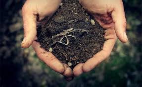 Джерела забруднення грунтів by Bohdan Bandura - Ourboox.com