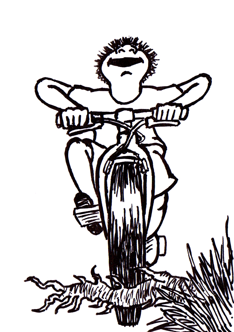 הספר של דניאל by Hila Tomashevsky - Ourboox.com