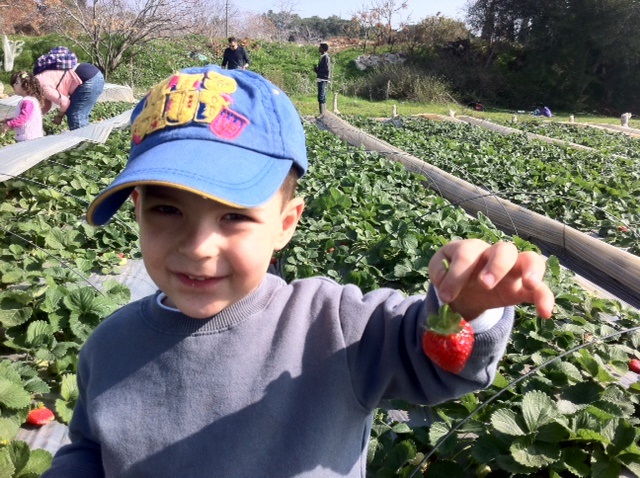 הספר של דניאל by Hila Tomashevsky - Ourboox.com