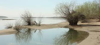 Наноси в речния поток by capt. Dian Atanasov - Ourboox.com