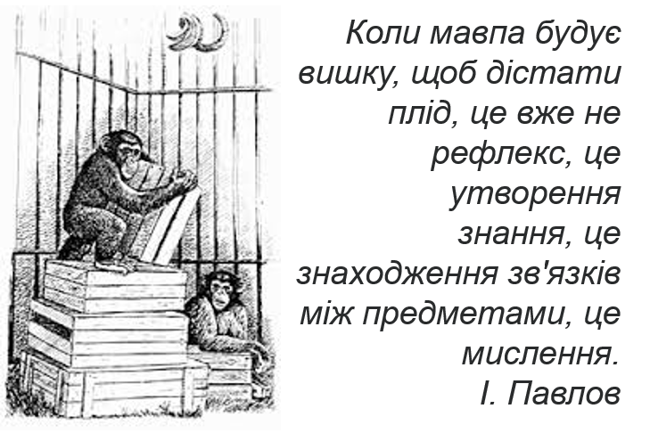 Елементарна розумова діяльність. Використання тваринами знарядь праці. by Shvedun Hanna - Illustrated by   Додаткові матеріали для опрацювання теми уроку - Ourboox.com