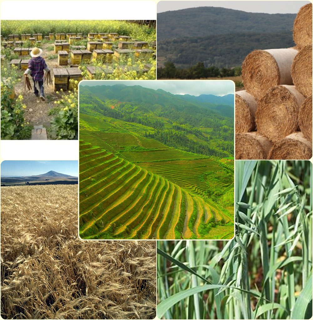 Китай by Maia Nikolova - Ourboox.com