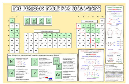 Форми періодичної системи хімічних елементів by Катя Павлечко - Ourboox.com