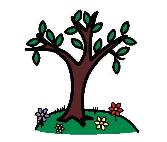 איך יודעים שבא אביב