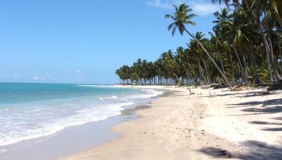 Creative Task by Gabriel Scappaticci - Illustrated by Gabriel Scappaticci - Ourboox.com