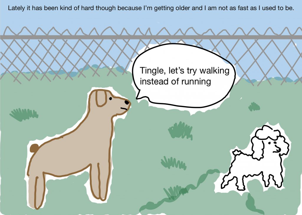 Mouse and Tingles great adventure by Hallie Mayabb - Ourboox.com