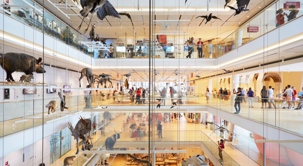 My favourite city: Trento by Giulia Duca Zanini - Ourboox.com