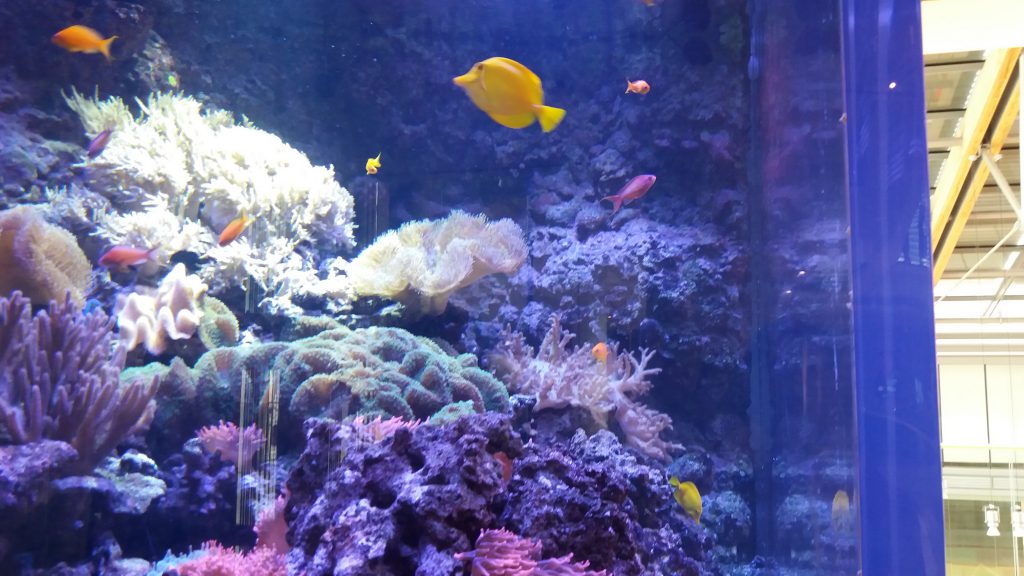 My favourite city: Trento by Giulia Duca Zanini - Ourboox.com