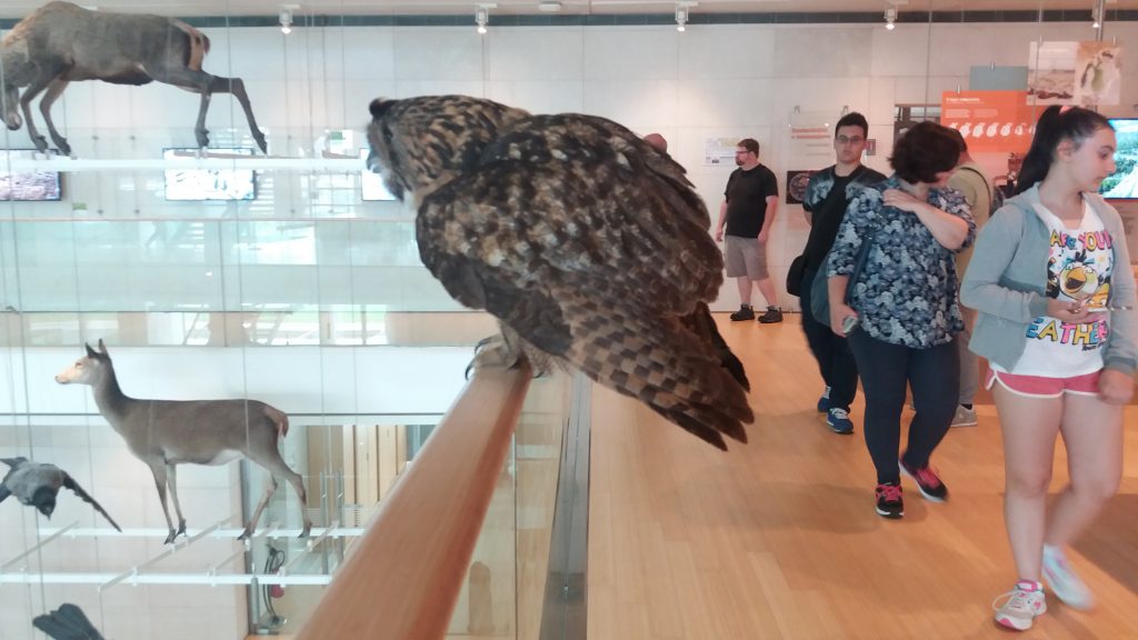 My favourite city: Trento by Giulia Duca Zanini - Ourboox.com