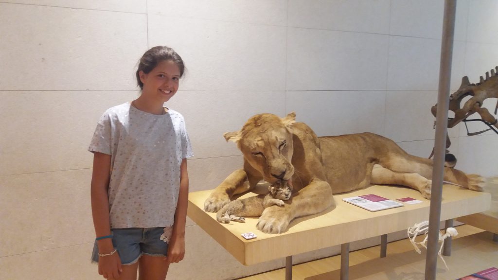 My favourite city: Trento by Giulia Duca Zanini - Ourboox.com