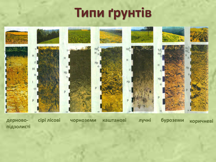 Грунти України by Julia - Ourboox.com