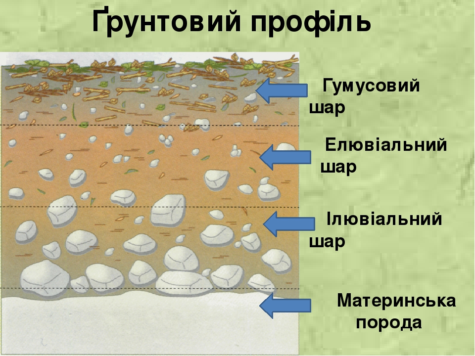 Грунти України by Julia - Ourboox.com