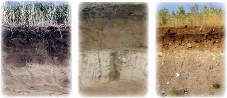 Грунти України by Julia - Ourboox.com