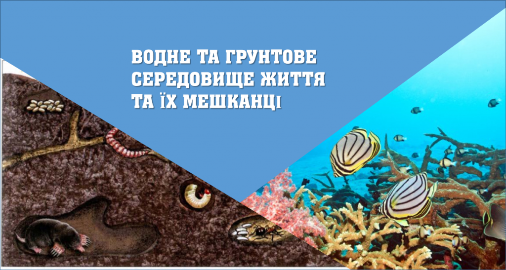 ВОДНЕ ТА ГРУНТОВЕ СЕРЕДОВИЩЕ ЖИТТЯ ТА ЇХ МЕШКАНЦІ by Tatiana  - Ourboox.com