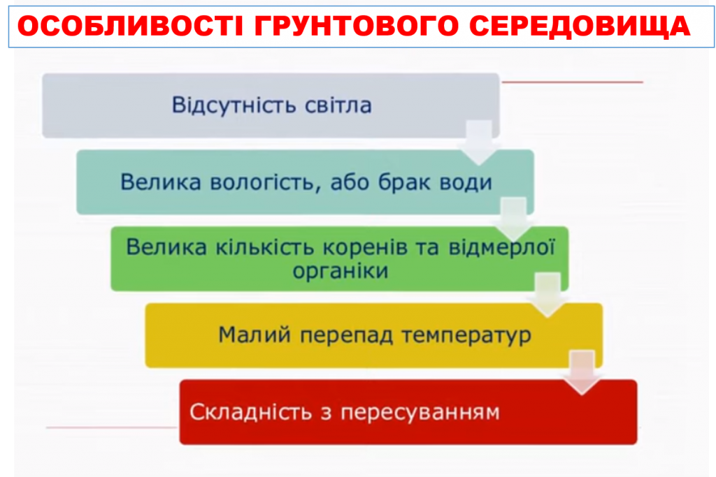 ВОДНЕ ТА ГРУНТОВЕ СЕРЕДОВИЩЕ ЖИТТЯ ТА ЇХ МЕШКАНЦІ by Tatiana - Ourboox.com