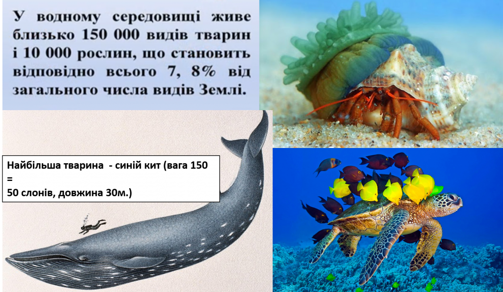 ВОДНЕ ТА ГРУНТОВЕ СЕРЕДОВИЩЕ ЖИТТЯ ТА ЇХ МЕШКАНЦІ by Tatiana - Ourboox.com