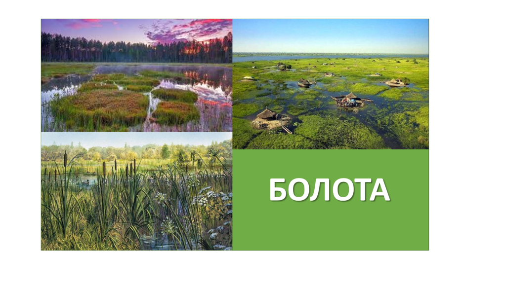 БОЛОТА by Tatiana  - Ourboox.com