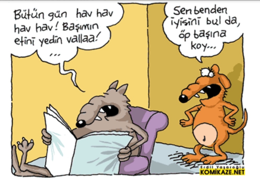 DEYİMLER by Tuğba Kurt - Ourboox.com