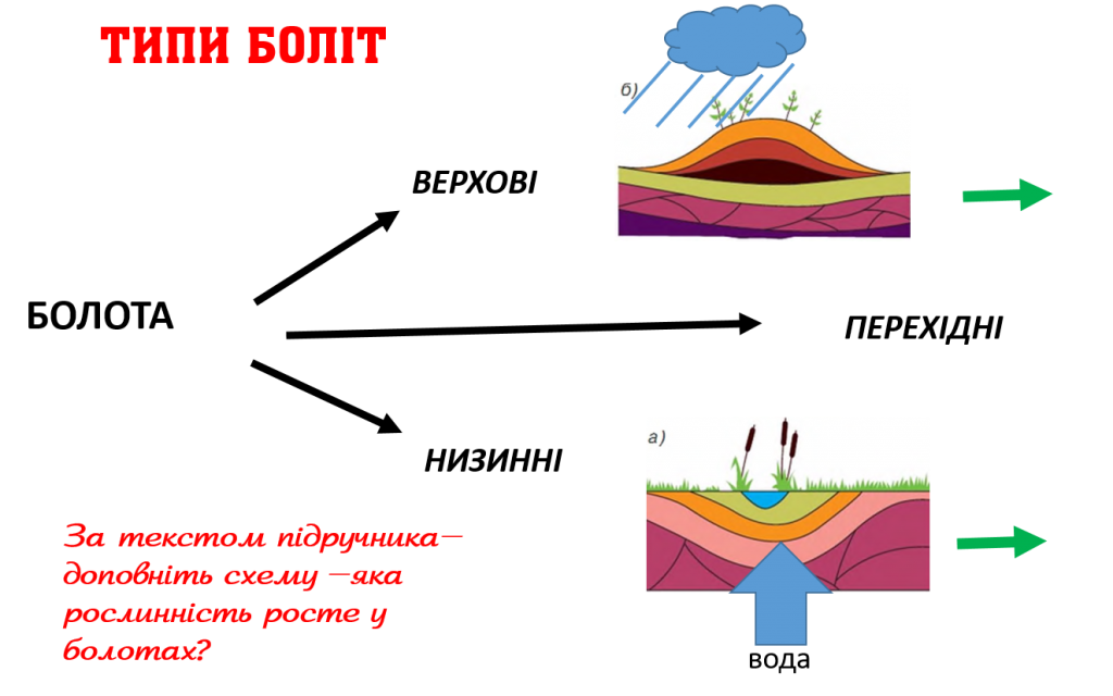 БОЛОТА by Tatiana - Ourboox.com