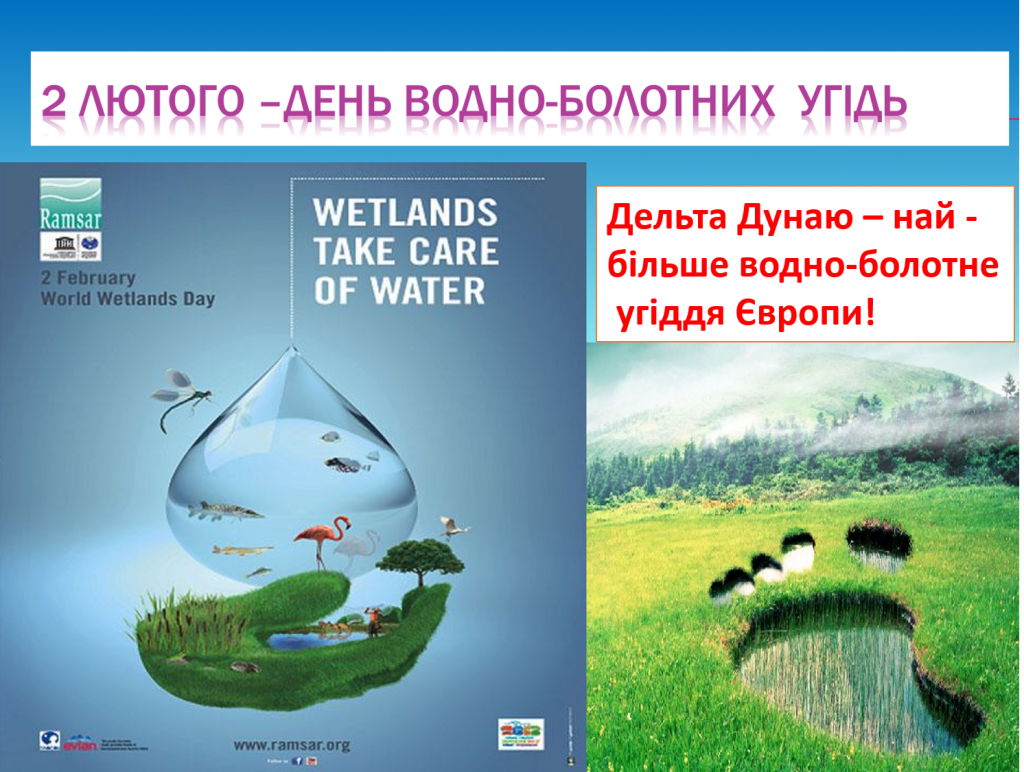 БОЛОТА by Tatiana - Ourboox.com