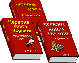 Ліс by lvshkira - Ourboox.com