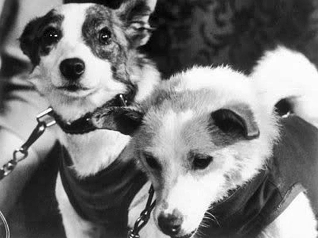 Тварини в космосі by Maria Hrynenko - Ourboox.com