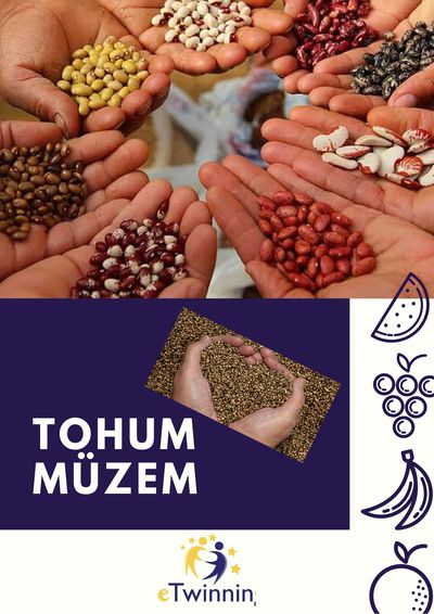 TOHUM MÜZEM/Student pre-test evaluation by tgbdyrc - Ourboox.com