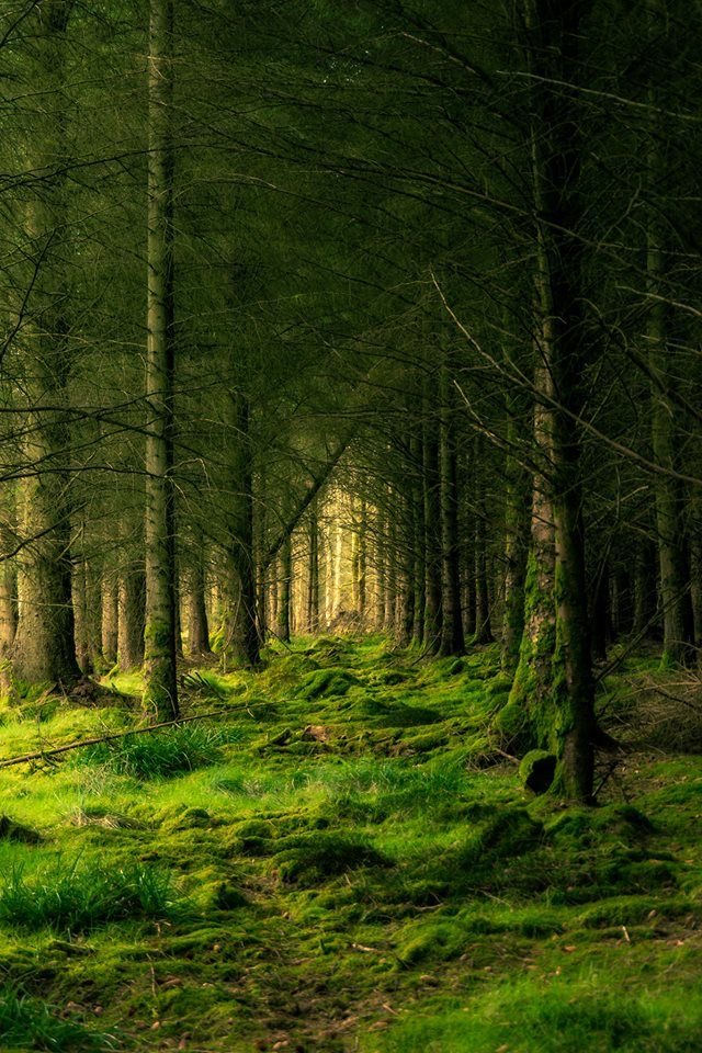 Solitude by Stella - Illustrated by Stella Munteanu - Ourboox.com